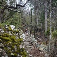 Photo de france - La randonnée du Mont Caroux